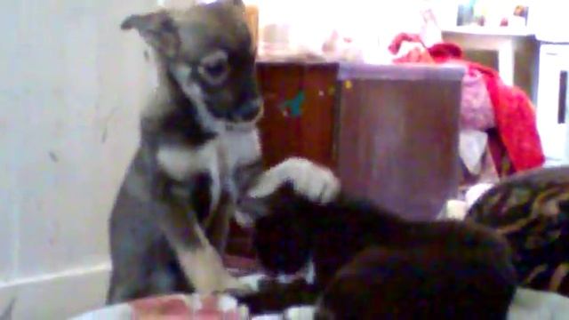 Video.mp4 смотреть онлайн