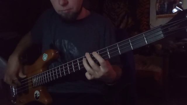 Marilyn Manson - Para - Noir (Bass cover Miroslav) rock bass warwick streamer \ D'ADDARIO EXL165 смотреть онлайн
