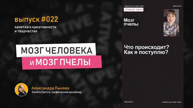 Выпуск 22 /Мозг пчелы / Тайны мышления / Мозг асцидии / Как мы мыслим смотреть онлайн