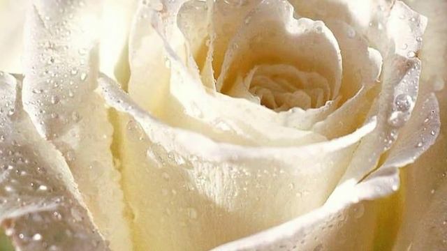 Маленький цветок смотреть онлайн