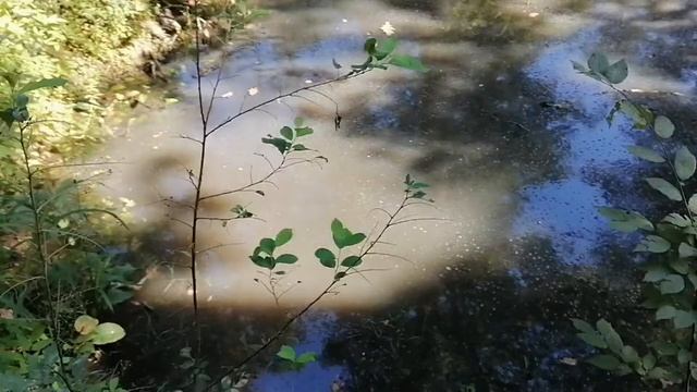 Тематическая экскурсия к месту падения бомбардировщика Пе-2 в Апшеронском районе. смотреть онлайн