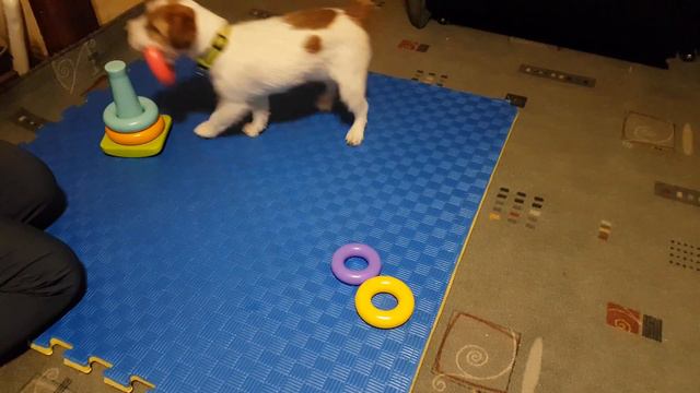 Пирамидка смотреть онлайн