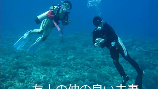 paraosport in tubbataha смотреть онлайн