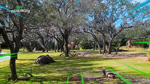 24 HORAS EN UN PARQUE DE DIVERSIONES!!! смотреть онлайн