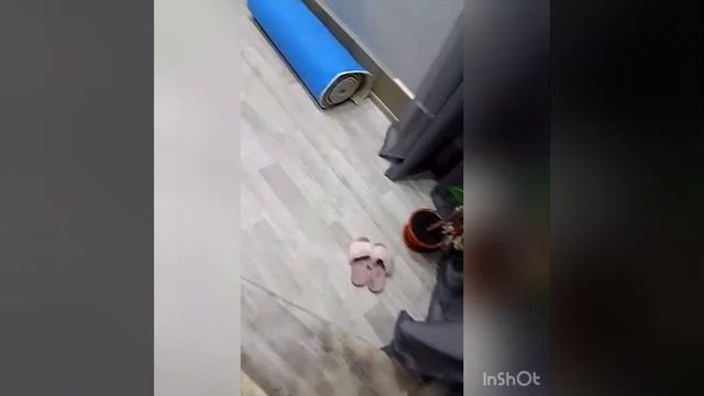 Ремонт под ключ??♂️Стены , потолок , пол , лестница а так же выкладка стен декоративной плиткой смотреть онлайн