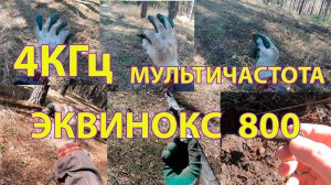 Тестирование Эквинокс 800 на 4КГц и мультичастоте с прошивкой 3.1.3