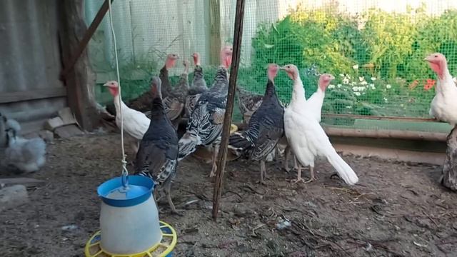 Пришло время, давно нужно было сделать. смотреть онлайн