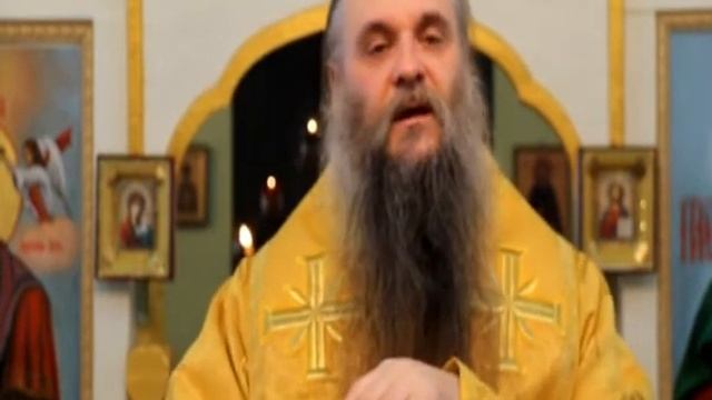 Проповедь Преосвященного Саввы 6 февраля смотреть онлайн