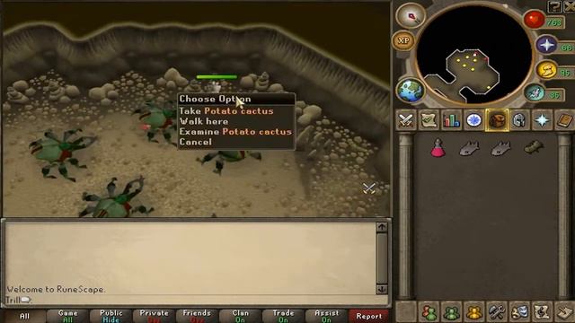 RuneScape Money Making Guide #6: Potato Cactus (400K GP/h) смотреть онлайн