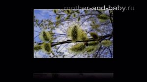 Ранняя весна: как просыпается природа