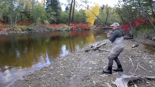 Рыболовная Философия