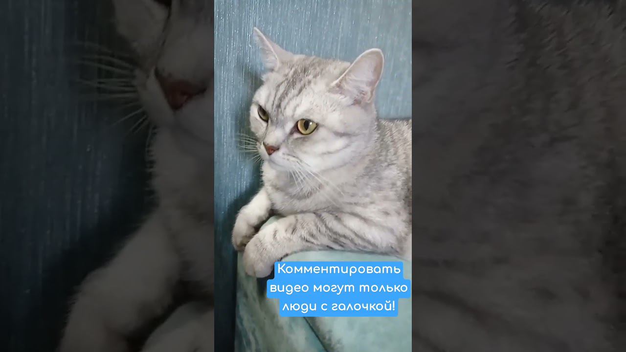 Это работает! #Shorts смотреть онлайн