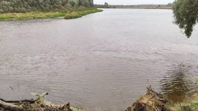 #отдых #рыбалка #природа #лес БАЗА ОТДЫХА «МЕДОВЫЙ РАЙ» смотреть онлайн