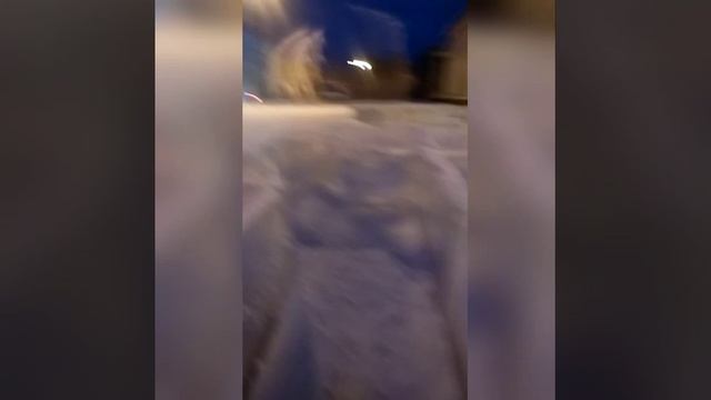 Мое новогодние видео. Январь 2020 смотреть онлайн