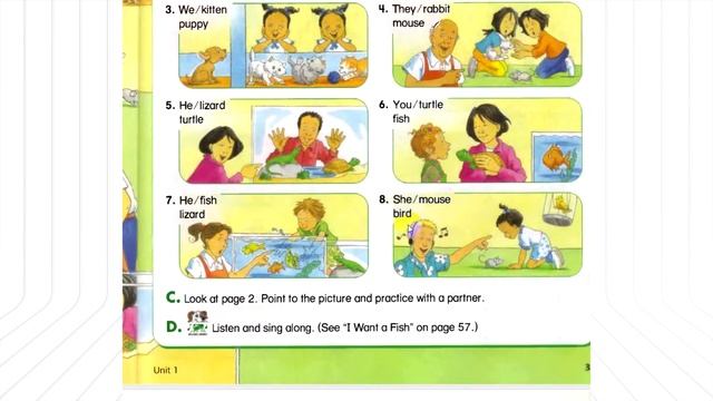 English Time 3 | Unit At the pet shop | By buleng mdk| Learn english смотреть онлайн