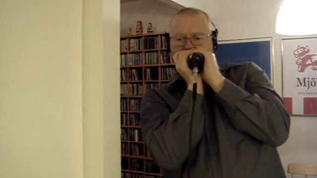 CM Blues - Harmonica Hawk смотреть онлайн