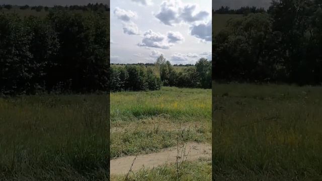 Совмещаю приятное с полезным.Лето,природа,ягоды,травы. смотреть онлайн