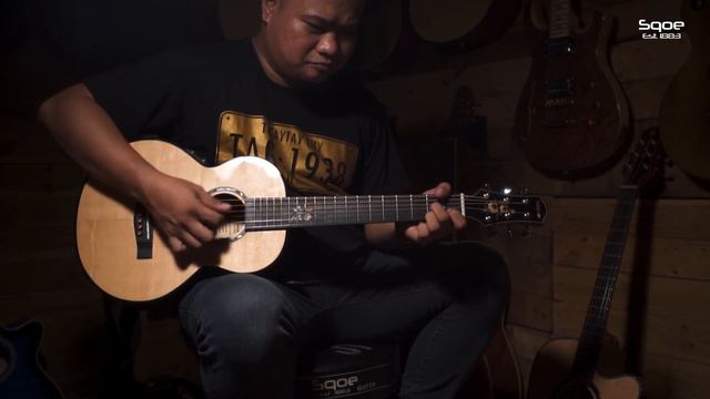 Sqoe 30ES Limited Edition Acoustic Guitar смотреть онлайн
