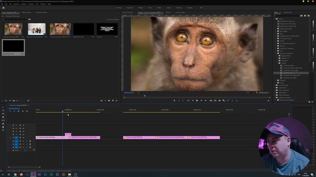 Пресеты для Premiere Pro. Текст. Эффекты. Переходы. #85 смотреть онлайн