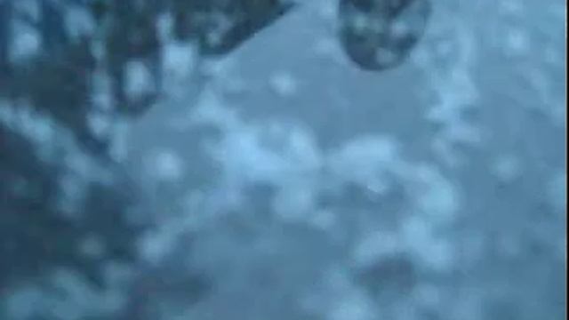 КАпот Карбон.avi смотреть онлайн