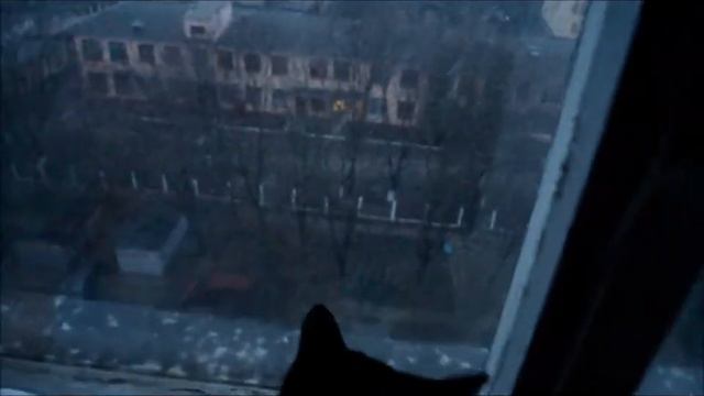snow goodbye смотреть онлайн