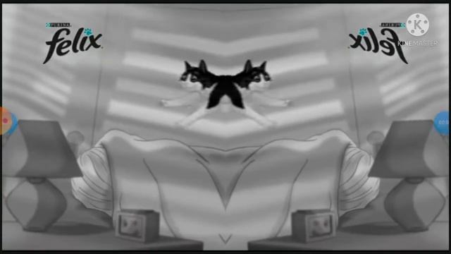Felix Ukraine Effects 1