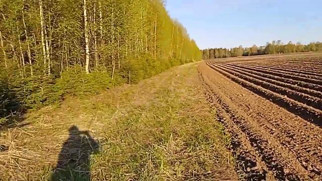 Богатые поля России и наша замечательная природа! смотреть онлайн