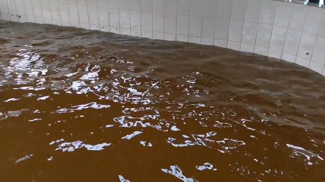 На Владимировском осетровом рыбоводном заводе выпустили очередную партию малька в Амур смотреть онлайн