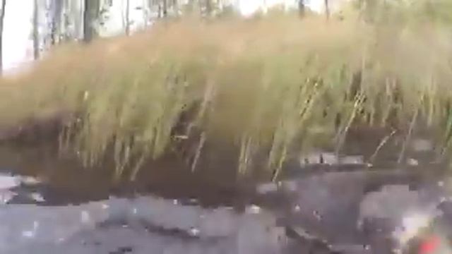Поймал щуку.... смотреть онлайн