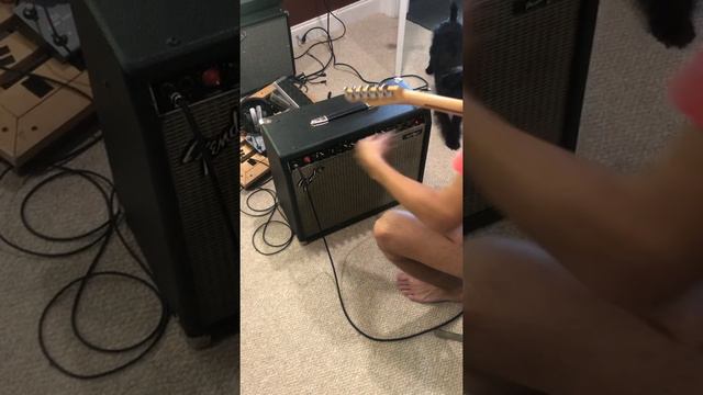 1992 Fender Princeton Chorus Reissue demo for my reverb listing смотреть онлайн