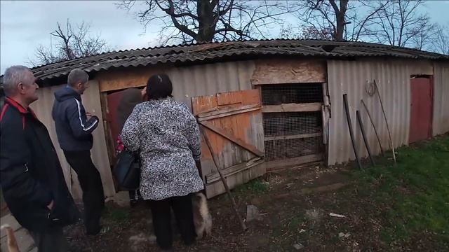 Ищем дом для покупки смотреть онлайн