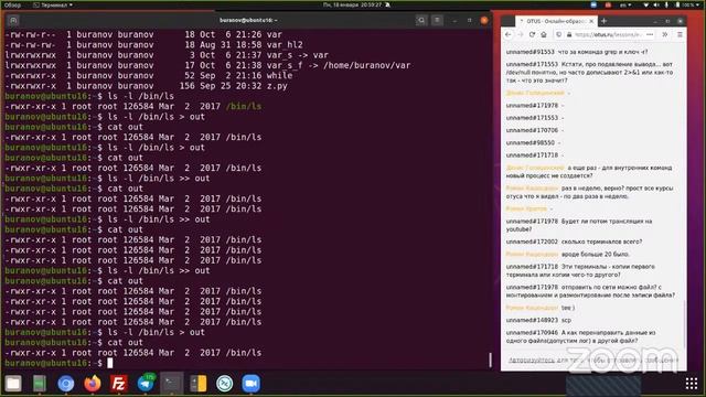 Bash. Написание простых скриптов // Бесплатный урок OTUS смотреть онлайн