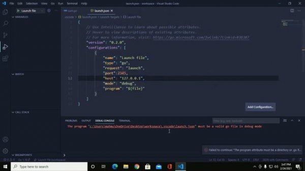 How to debug GO program with visual studio code