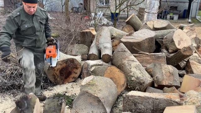 Husqvarna 395 xp, és Stihl ms 660. A nagy meló közösen! смотреть онлайн