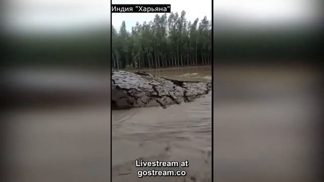 Индия, Харьяна. Земля прорывалась из-под воды! смотреть онлайн