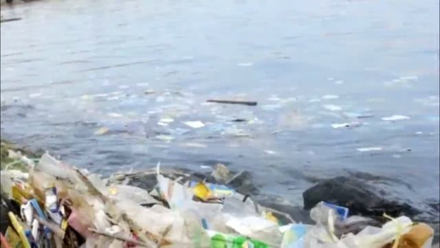 То, что нашли в животе у этого кашалота, шокировало весь МИР! Верится с трудом! смотреть онлайн