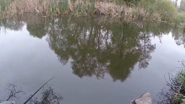 Ловля окушка на Маньячку смотреть онлайн