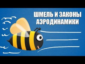 Нарушает ли шмель законы аэродинамики?