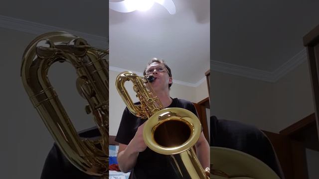 Girl Like You (Cover Sax Barítono) смотреть онлайн