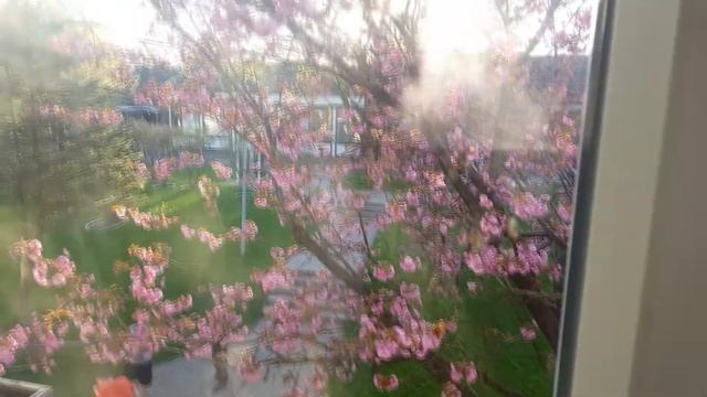 Немецкая тюрьма Ремшайд в Германии 2017 - 2018 Нарезка смотреть онлайн