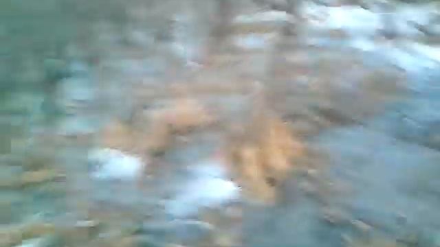Дух пушкина смотреть онлайн