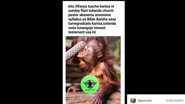 REASON NLIACHA KUENDA CHURCH | FUNNIEST KENYAN MEME THREAD EP #2 смотреть онлайн
