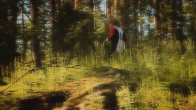 По лесным вершинам