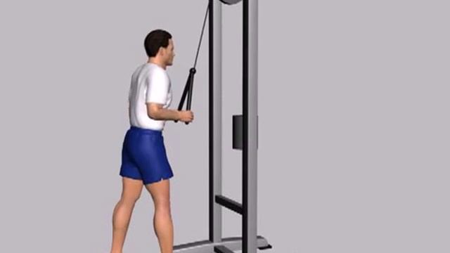 разгибание рук в блоке с канатом