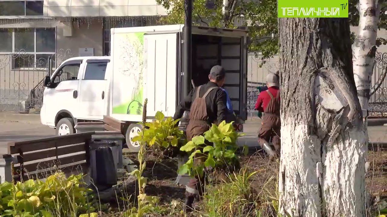 Чехов-центр снова доверил "Тепличному"реконструкцию своих цветников смотреть онлайн