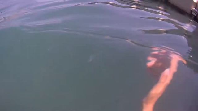 Средиземное море. Кормим рыбок с рук. Maritim Pine Beach Resort Belek смотреть онлайн