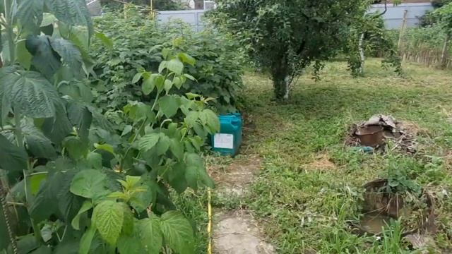 Дом в Краснодарском крае. Дом в Славянске-на-Кубани. Купить дом на юге легко.