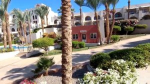 ??Египет. Обзор номера. Завтрак. Бассейн. Снорклинг. Grand Rotana Resort & Spa 5* Египет.