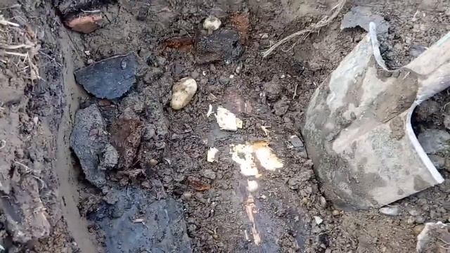 Лиственница в воде. Спустя 10 лет. смотреть онлайн