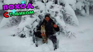 Вышли с Тобиком на природу в -20. Упало дерево на голову. Первый снег.  Отдых на природе.